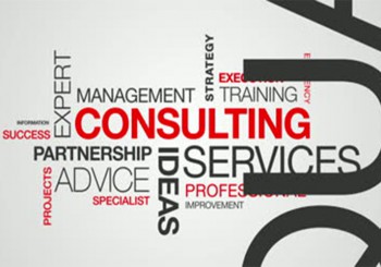 MANAGEMENT CONSULTING
